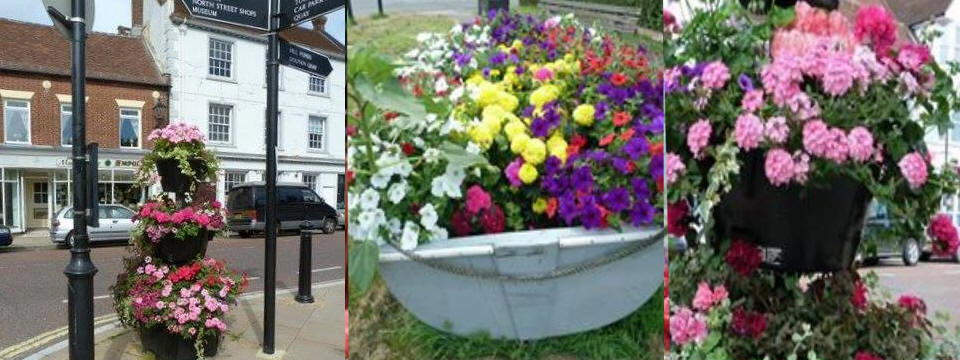 Image result for Emsworth in Bloom