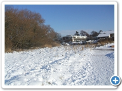 The shore near Nore Barn Woods