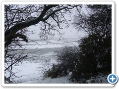 The Harbour from Nore Barn Woods